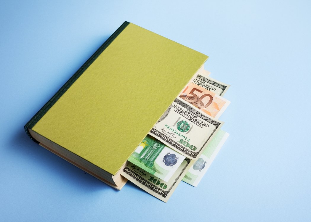 Financial Literacy for Entrepreneurs (Accounts, Budgeting, Cash Flow)